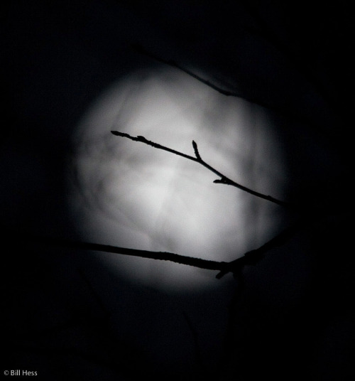 solstice_eclipse_moon-7606-2.jpg
