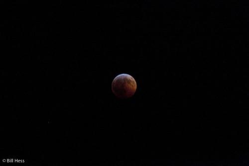 solstice_eclipse_moon-7900.jpg