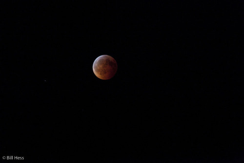 solstice_eclipse_moon-7981.jpg